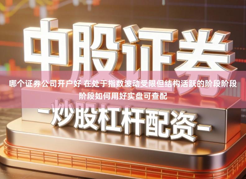 哪个证券公司开户好 在处于指数波动受限但结构活跃的阶段阶段阶段如何用好实盘可查配