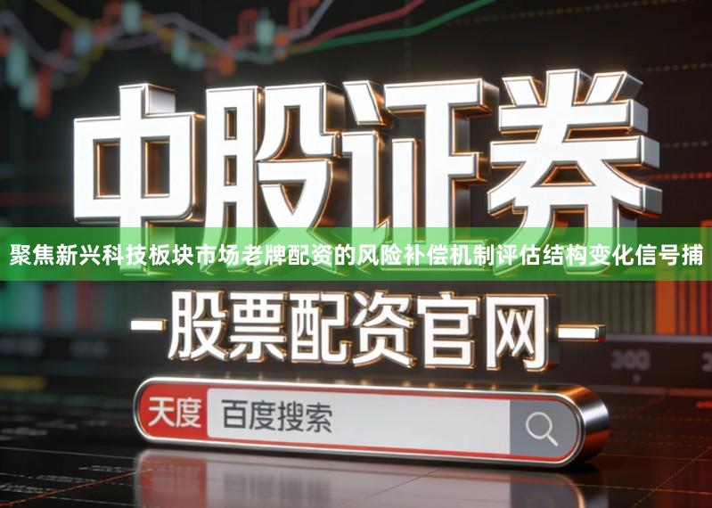 聚焦新兴科技板块市场老牌配资的风险补偿机制评估结构变化信号捕