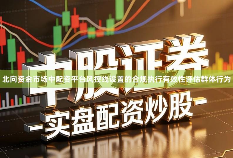 北向资金市场中配资平台风控线设置的合规执行有效性评估群体行为
