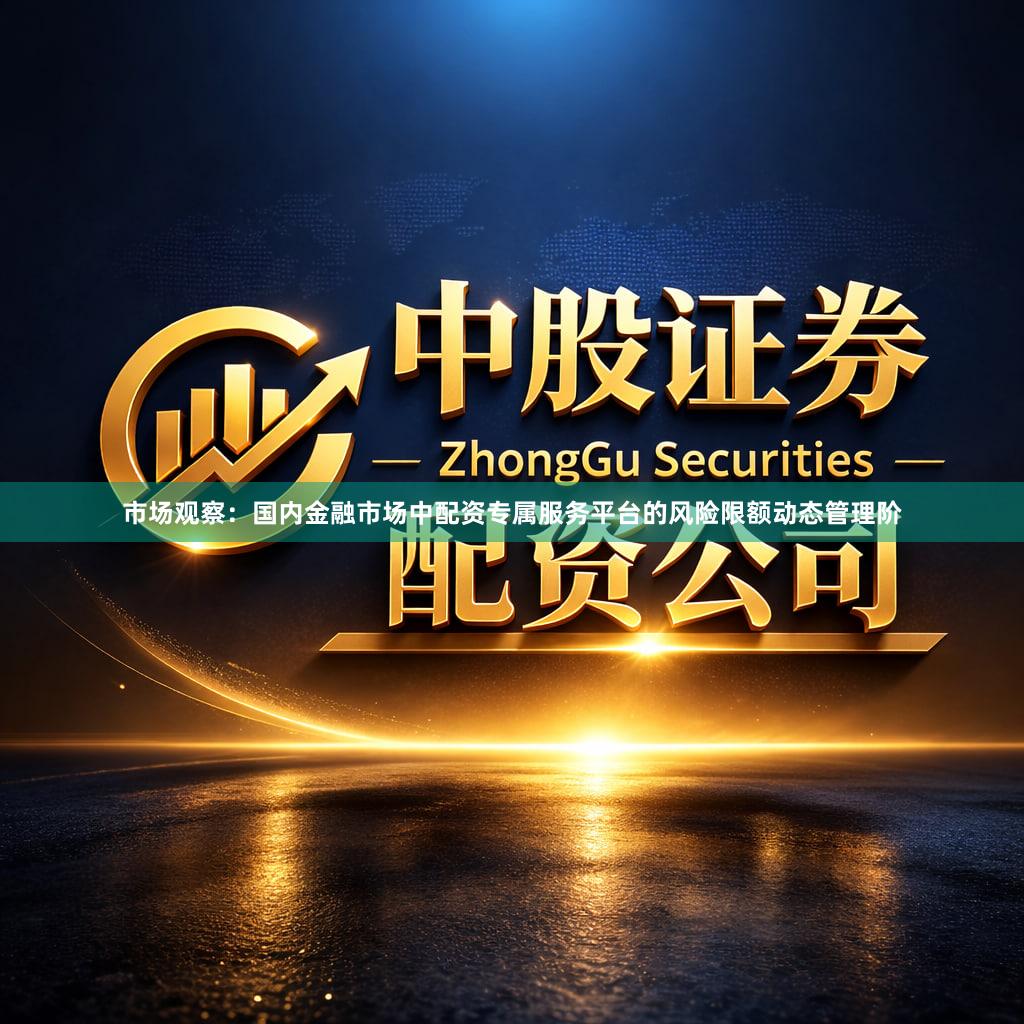 市场观察：国内金融市场中配资专属服务平台的风险限额动态管理阶